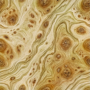 POPLAR BURL