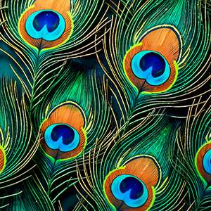 PEACOCK