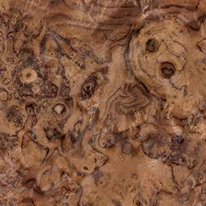 WALNUT BURL
