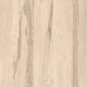 LIGHT BIRCH