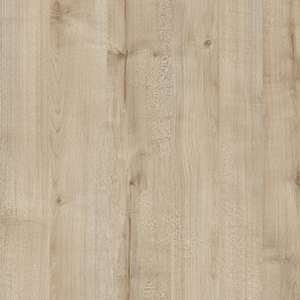 BIRCH