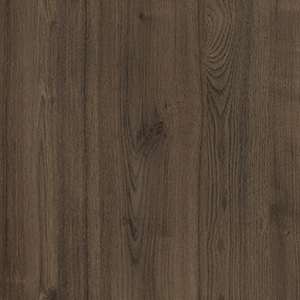 CHESTNUT