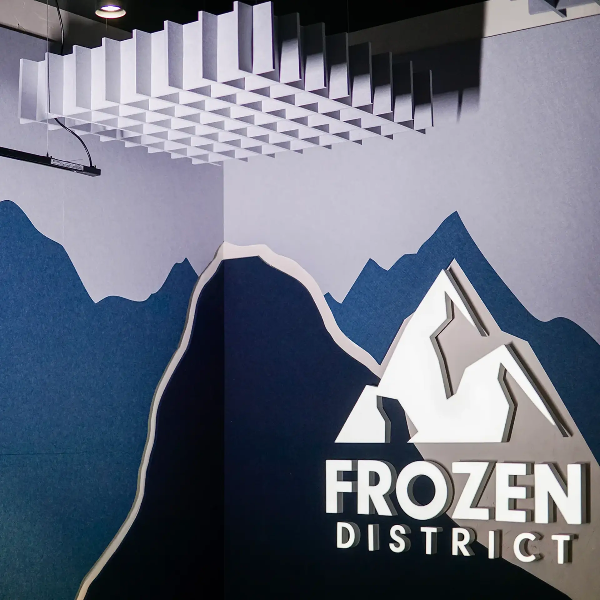 Wyciszenie studia streamingu Frozen District