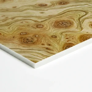 WOOD_2_MAIN Panel akustyczny – print WOOD