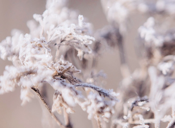 Przykładowe zestawienia kolorów Soft Frost – panele akustyczne